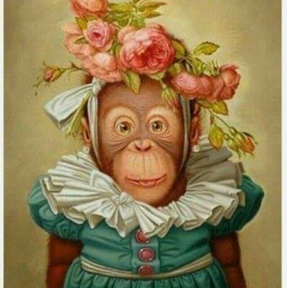 Meet your Posher, Martha